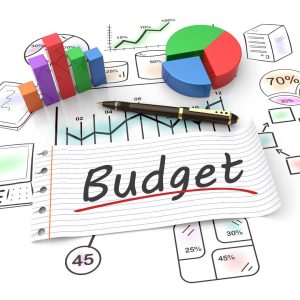 Business Budget