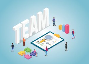 roles and responsibilities for team members