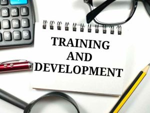 training and development